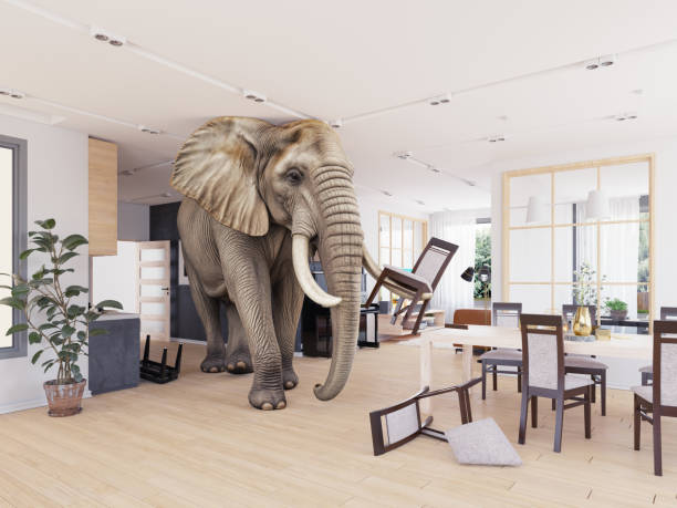 istock Elephant standing in modern living room 2191848336