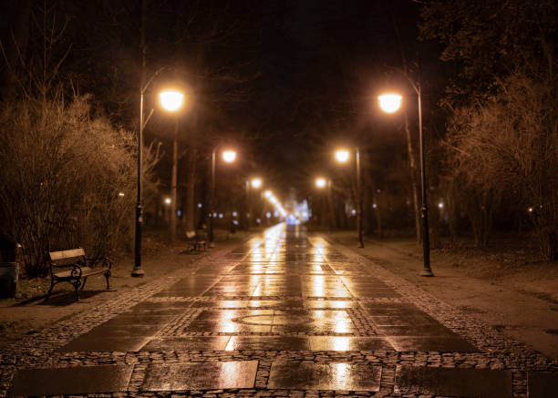 istock Autumn Night in the Park 2191851954