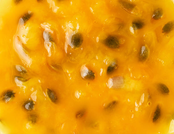 Torta de Maracujá e Chocolate: Sabor Tropical irresistível - receita deliciosa profissional - passo 2