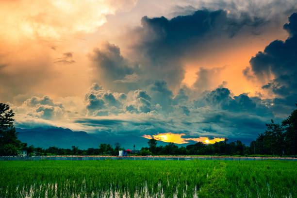 The most beautiful rice terraces Thailand Pa Pong PIang Rice Terraces Chiang Mai and small hamlet lost in the mountains of Doi Inthanon National Park, the highest point of Thailand also called roof of Thailand