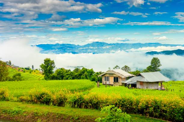 istock Most beautiful rice terraces Thailand 2191853703