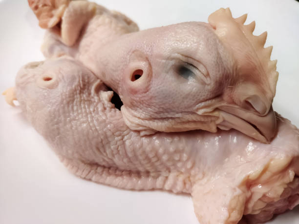 istock raw chicken heads on a white background 2191853879