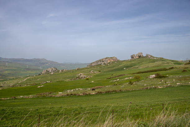 Bright green field with rocks on a hill. Blue sky with light clouds. Black horse on a pasture. Centre of the island, area of Corleone - Prizzi, Sicily, Italy.