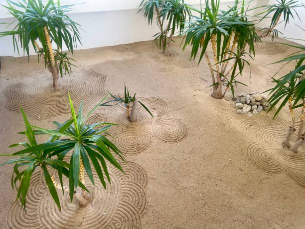 istock Zen Garden with Yucca Plants and Sand Patterns 2191855587