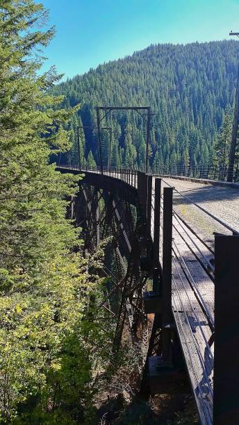 istock Old Railroad Trellis Amongst Forest 2191855723