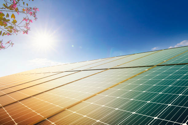 flower and solar panels on blue sky and sun. clean energy, environmentally friendly.