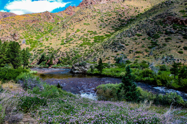 istock Creek in Rocky mountain national park 2191857243