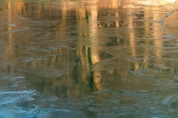 Landscape with a frozen lake in the forest