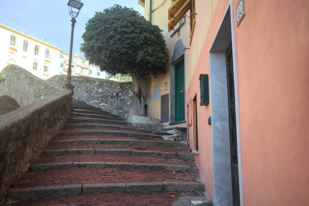 istock Staircase of a bridge with a tree 2191858684