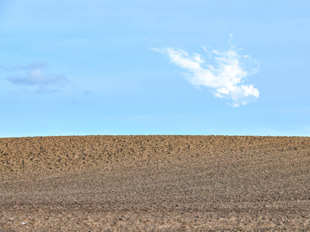 A tilled farmland under a clear blue sky with a single white cloud. This minimalistic landscape conveys serenity and nature's simple beauty, captured in Denmark during favorable weather conditions. Perfect for themes of agriculture, minimalism, and open spaces.