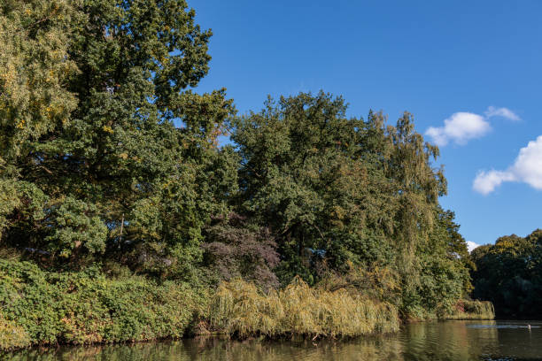 Herbst an der Alster in Hamburg