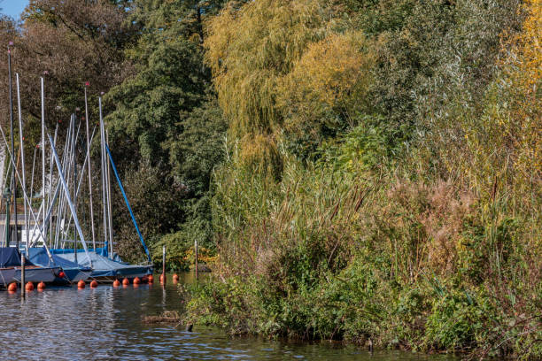 Herbst an der Alster in Hamburg