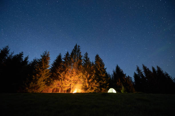istock Illuminated tent and glowing campfire create warm ambiance on grassy clearing under starry sky. 2191868169