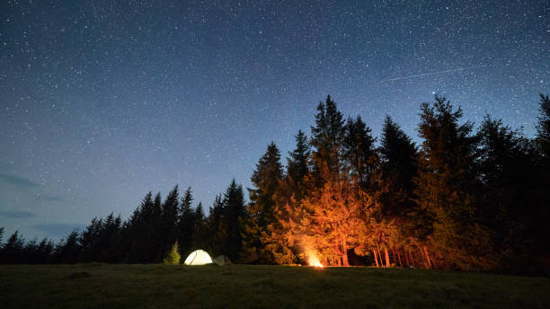 Illuminated tent and glowing campfire create warm ambiance on grassy clearing under starry sky.