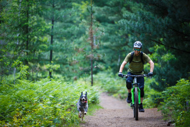 istock Summer Mountain Bike Dog Ride 2191869549