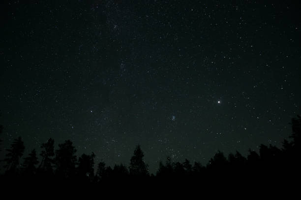 istock Stars twinkle brightly over a dark forest at night in a remote location 2191869951