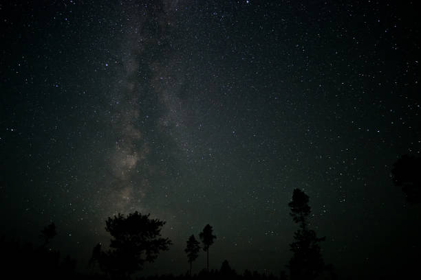 istock Night sky showcasing the Milky Way over a forested landscape during clear weather 2191870017