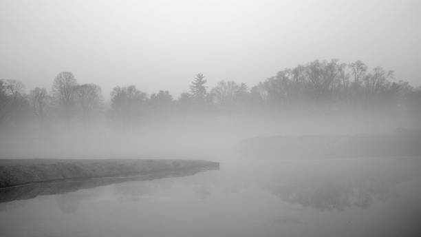 istock Foggy winter landscape with trees in the mist 2191870936