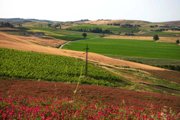 Scenic Tuscany Landscape, Italy