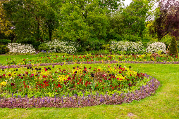 istock Spring flowers in Hyde park, London, UK 2191871513