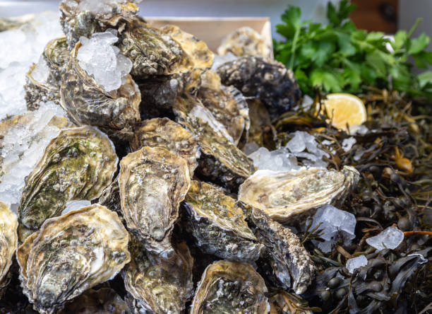 istock Fresh oysters on ice, with lemon and herbs 2191881497