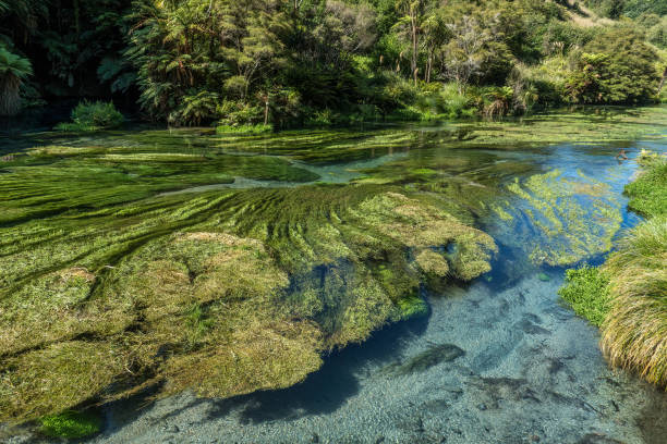 istock The cleanest water in the world 2191884495