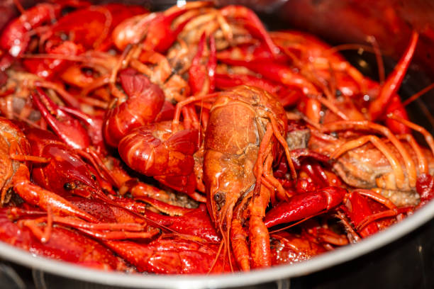 istock Boiled red crawfishon close up top of view 2191884733