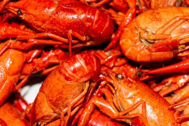 seafood of Korean cuisine