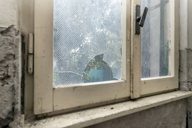 istock Glass of old window broken 2191884838