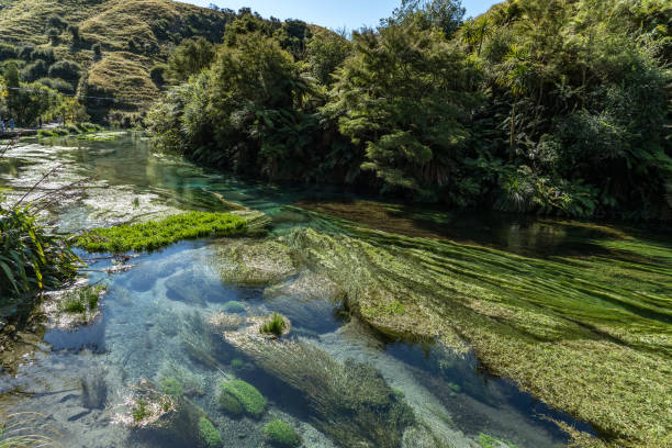 istock The cleanest water in the world 2191890476