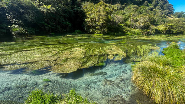 istock The cleanest water in the world 2191890532