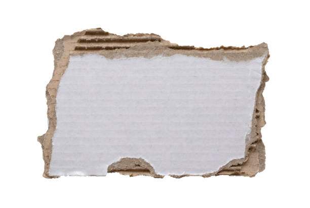 istock piece of white paper tear isolated on white background 2191890644