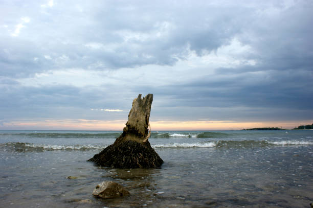 A sandy beach