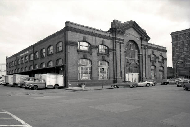Wholesale Fish Market