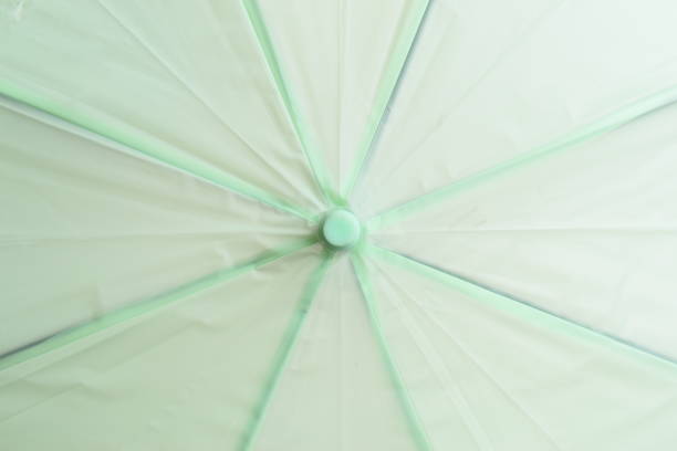 surface of open green umbrella background