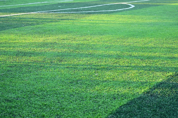 istock artificial green grass soccer field with sunlight, training football yard 2191907643
