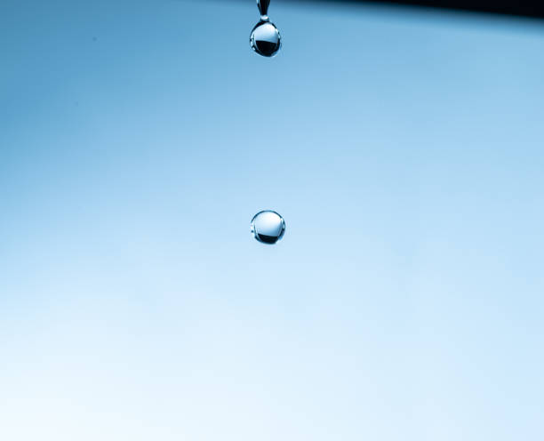 Dew drop on the green leaf