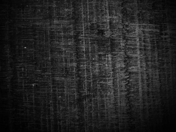 istock Black and white wood grain abstract background 2191913705