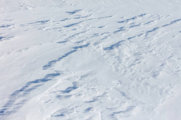 istock The snow is white and the ground is covered in it 2191917274