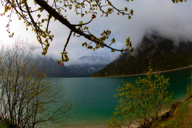 Plansee, in the Reutte district of Tyrol, Austria
