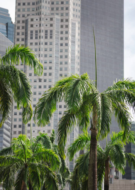 Tower apartment background image