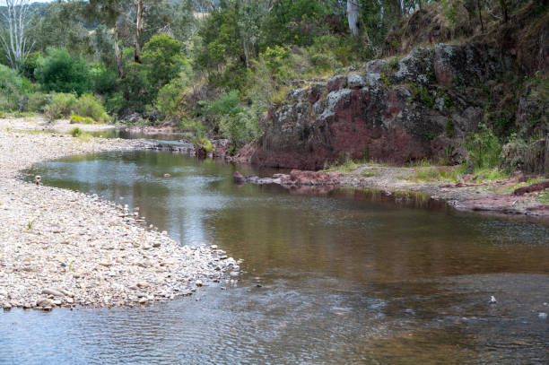 istock Avon River at Valencia Creek, Gippsland, Victoria 2191926431