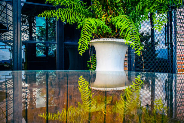 The clear surface of the table creates a beautiful mirror effect, capturing nature's beauty.