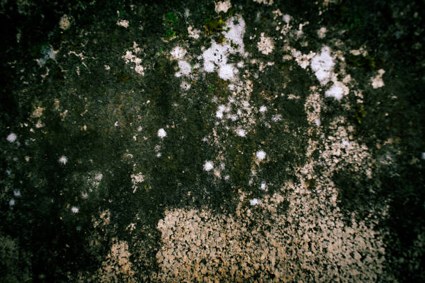 Wall background