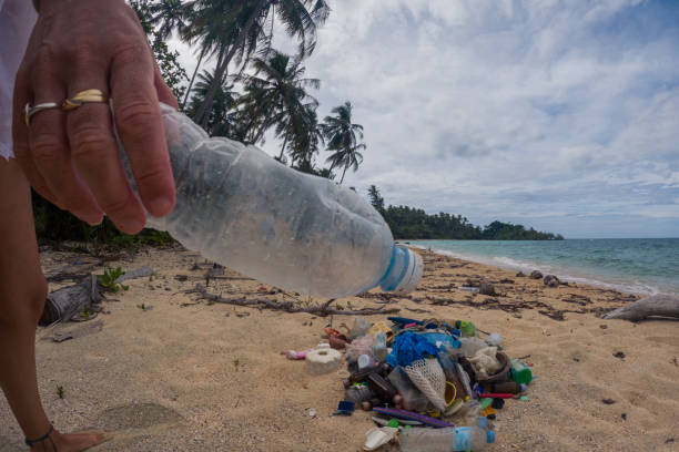 istock Person Collecting Plastic Waste on Tropical Beach 2191932196