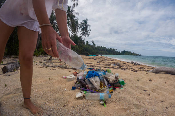 istock Person Collecting Plastic Waste on Tropical Beach 2191932705