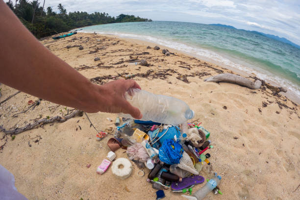 istock Person Collecting Plastic Waste on Tropical Beach 2191932722