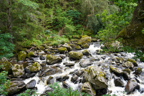 istock River flowing over rock and boulders 2191936916