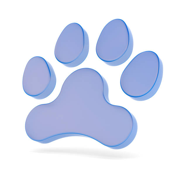 istock Paw on white background. Isolated 3D illustration 2191937315