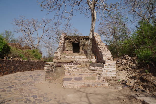 istock Ranthambhore Fort in Rajasthan 2191939538